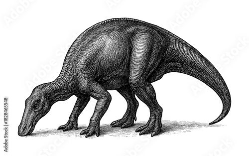Vintage dinosaur engraving of brachiosaurus grazing in detailed black and white art