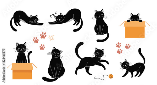 A delightful array of black cat cartoon illustrations in various poses, including stretching, sleeping, sitting, and interacting with boxes.