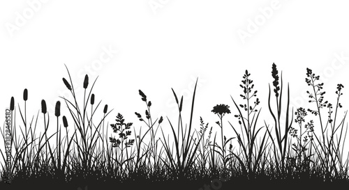 Black and white silhouette of various grasses, weeds, and wild plants growing in a meadow or field, perfect for nature backgrounds.