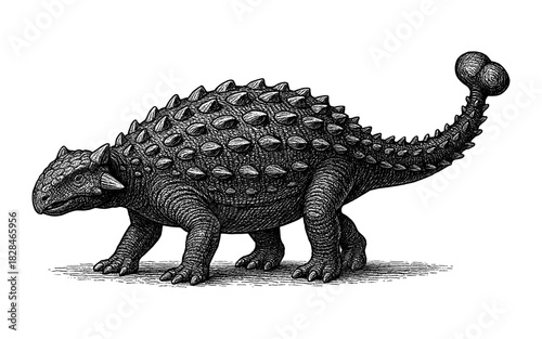 Detailed engraving of armored dinosaur ankylosaurus in classic style