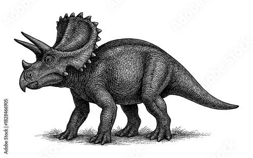 Detailed black and white triceratops in classic engraving style