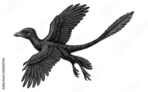 Intricate monochrome dinosaur with wings and feathers in detailed engraving style