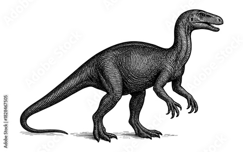 Detailed engraving of a prehistoric dinosaur in black and white