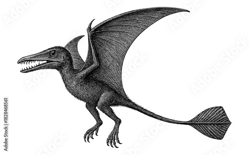 Detailed black and white engraving of a pterodactyl with outstretched wings in vintage style