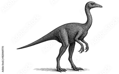 Intricate dinosaur engraving of ornithomimus in vintage black and white style