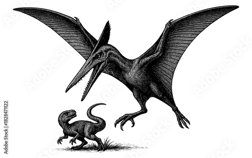 Ink drawing of pterodactyl and velociraptor in dynamic pose
