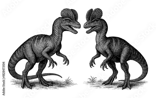 Vintage dinosaur engraving of two prehistoric creatures standing in profile
