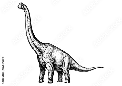 Detailed engraving of a brachiosaurus in black and white with intricate linework