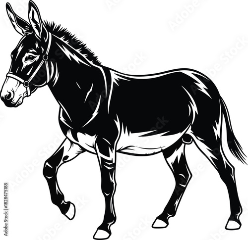 Isolated black and white donkey vector illustration farm animal art eps silhouette