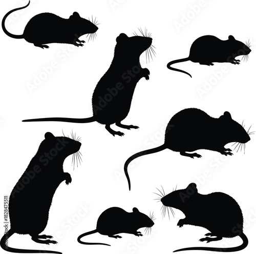 Mouse silhouette vector illustration rodent pest control clip art design eps