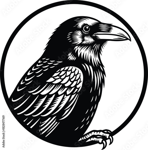 Black raven vector illustration bird crow tattoo design graphic art eps silhouette