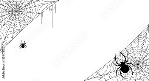 A spooky Halloween background featuring black spiders and intricate cobwebs in the corners, a minimalist vector illustration
