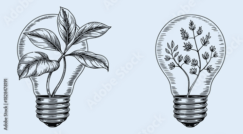 hand-drawn sketch of green plants growing inside incandescent lightbulbs, illustrating sustainable ideas, renewable energy, environmental conservation, innovation concepts, and eco-friendly design.