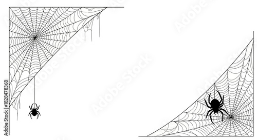 Set of two isolated corner spider web vector illustrations with arachnids. One spider hangs from the web and the other sits on it