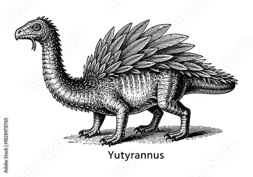 Intricate yutyrannus sketch with feathered detail in vintage ink pen style