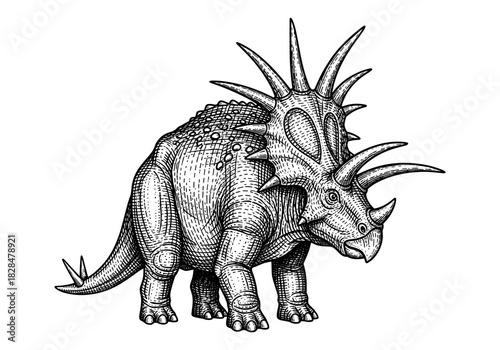 Vintage style engraving of a styracosaurus with detailed texturing and linework