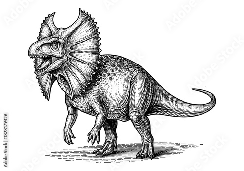 Intricate pen sketch of triceratops in detailed vintage style