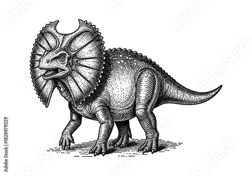 Detailed black and white triceratops engraving with intricate lines