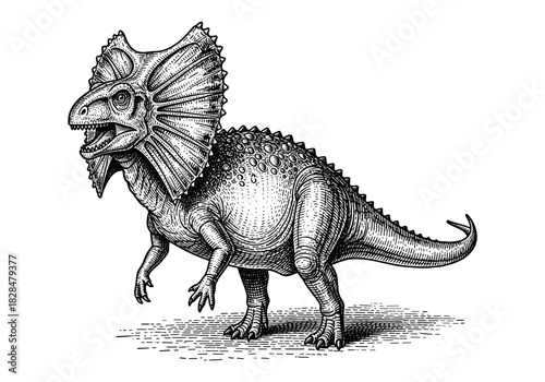 Detailed triceratops sketch with textured scales and frilled neck in black and white