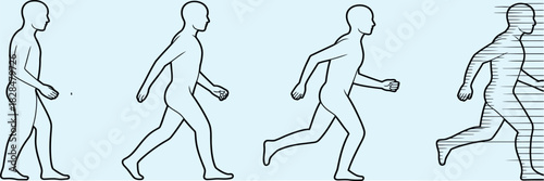 human evolution from standing to running, depicting skeletal and muscular changes, posture progression, and motion dynamics, suitable for educational materials, biology presentations, and scientific.