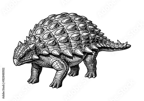 Detailed black and white drawing of an ankylosaurus dinosaur with armored plates