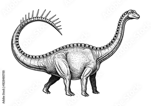 Hand drawn sauropod dinosaur with long tail and spikes in vintage style