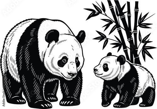 Panda bear family illustration black and white animal drawing design eps silhouette