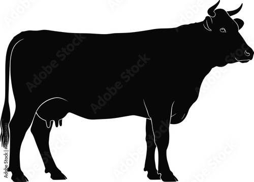 Christmas nativity scene silhouettes with baby Jesus, Mary, Joseph, three wise men on camels, angels, and owls for cad drawing flat vector illustration