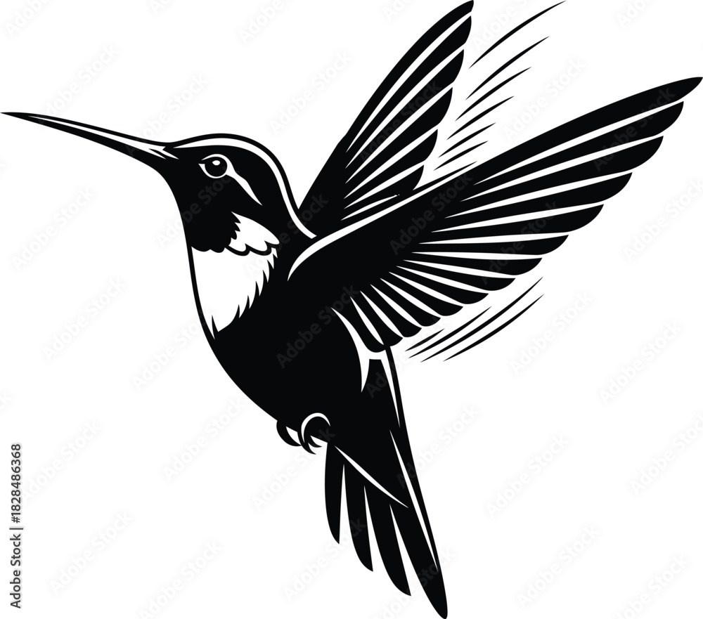 Obraz premium Hummingbird vector graphic design black and white illustration art bird eps silhouette