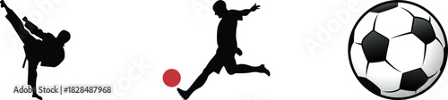 Martial artist performing a high kick soccer player kicking a ball and a classic soccer ball showcase athleticism skill and sportsmanship in a dynamic composition on a white background