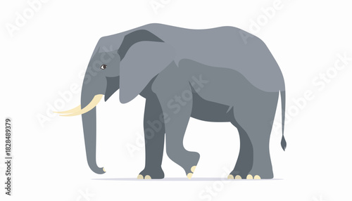 Illustration of a gray elephant with large ears and tusks walking on a white background.