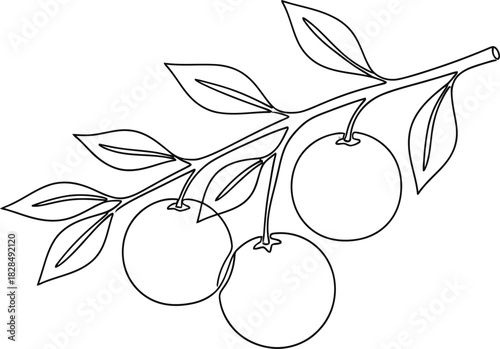 
Pomegranate. Modern single line art drawing. Happy Shana tova continuous line draw design set illustration 