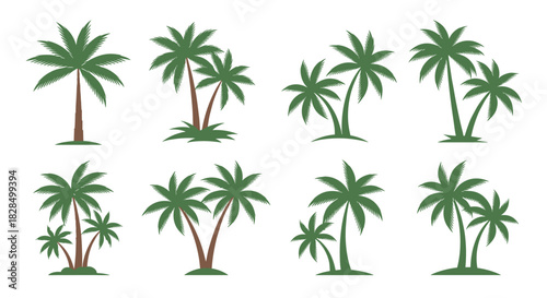 A vibrant collection of diverse palm tree illustrations in various formations and styles, perfect for tropical designs and summer-themed projects.