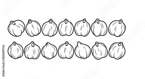 Hand drawn illustration of chickpeas in a row on white background