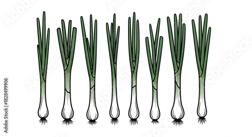 Arrangement of green reeds in clear glass vases on a white background