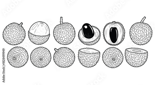 Hand drawn illustration of lychee fruits whole and halved in black and white