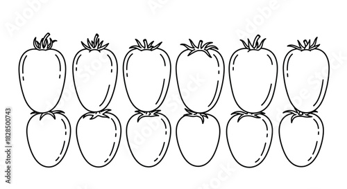 Hand drawn outline illustration of fresh strawberries in two rows