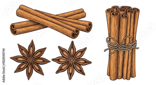 Collection of detailed hand-drawn cinnamon sticks, both loose and bundled, alongside two star anise pods on a white background.