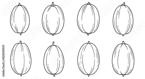 Collection of eight hand drawn cucumber illustrations in a clean white background