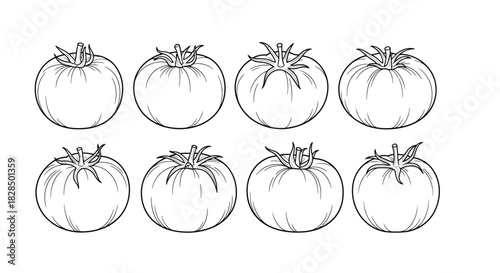 Collection of hand drawn tomatoes in sketch style