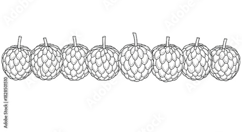 Row of stylized hop cones in a line drawing illustration