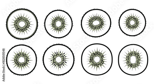 Eight stylized cross sections of a kiwi fruit with seeds and pulp