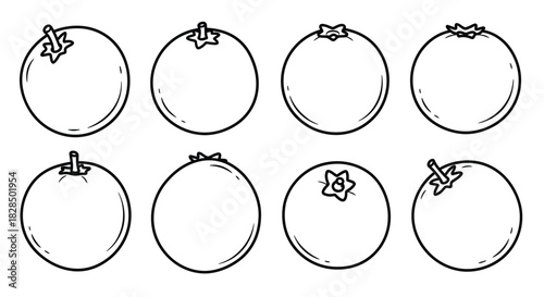 Collection of hand drawn outline fruits in black and white