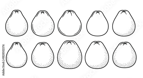 Collection of hand drawn avocado illustrations in sketch style