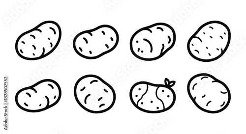 Collection of hand drawn potato illustrations in black and white outline style