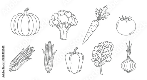 Hand drawn sketch collection of fresh vegetables and produce