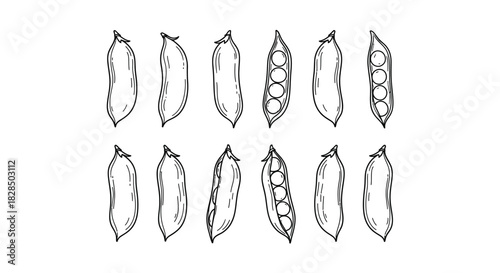 Collection of hand drawn pea pods in a sketchy style