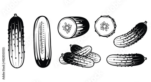 Collection of hand drawn cucumbers in various forms and styles