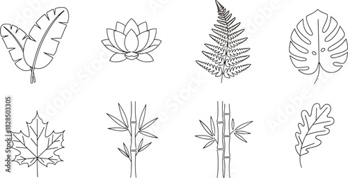 Collection of eight diverse botanical illustrations including banana leaves, lotus flower, fern, monstera, maple leaf, bamboo, and oak leaf
