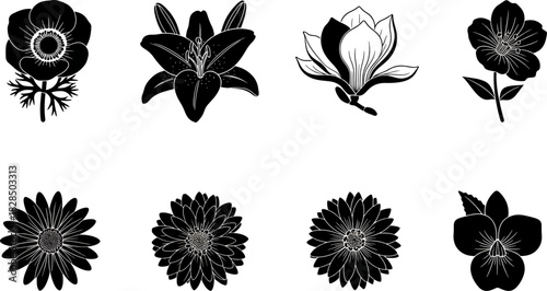 Collection of Eight Black and White Silhouetted Flowers Including Anemone Lily Magnolia Daisy and Pansy